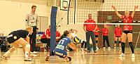 IMG 8043 AA