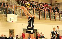 IMG 8090 AA
