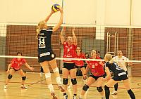 IMG 8180 AA
