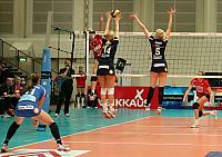 IMG 0439AAA