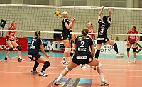 IMG 0480AAA