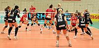 IMG 0904VVV