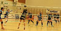 IMG 2285saana